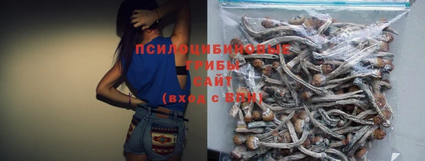 ALPHA PVP Коряжма