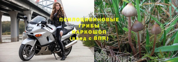 спиды Краснослободск