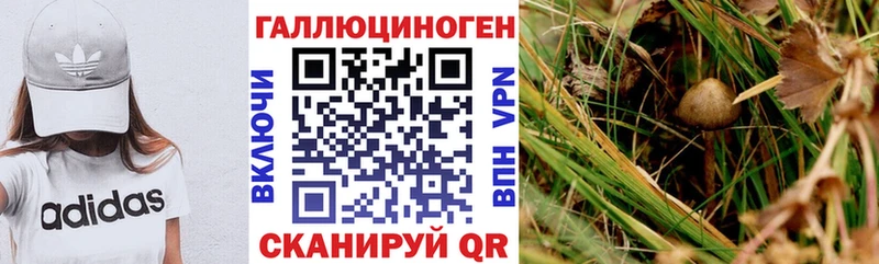 где продают   Мензелинск  Галлюциногенные грибы мухоморы 